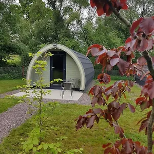 Mount Hillary Pods Campsite Cork